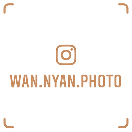 wan.nyan.photo